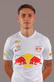 Lukas Wallner