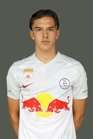 Sebastian Leitner