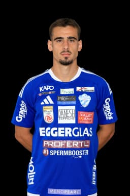 Andrija Radulovic