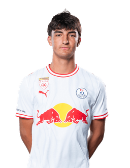 Nico Masching