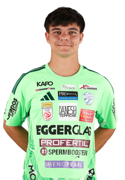 Luka Maric