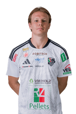 Aaron Sky Schwarz