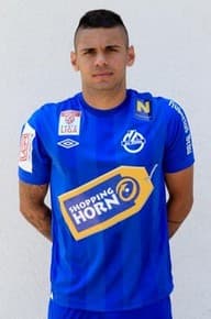 Radovan Mitrovic